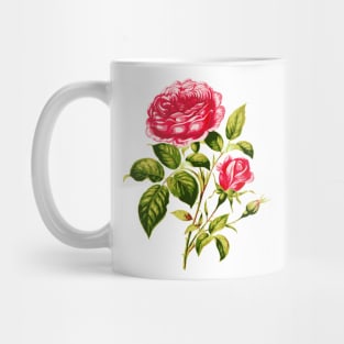 Vintage Pink Roses with Branches and Rose Buds Mug